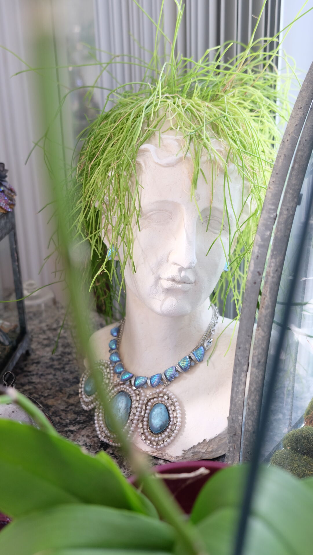 Wearing of the Green